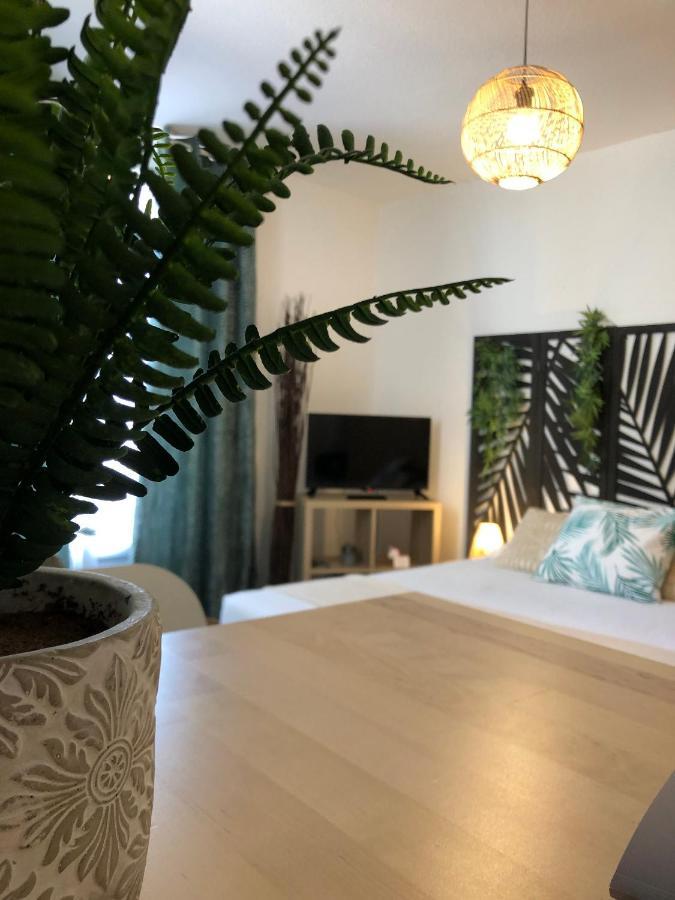 Apartament Equateur-Centre Jaude Clermont-Ferrand Zewnętrze zdjęcie